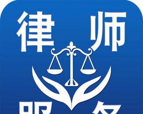 专业法律纠纷代理服务解析